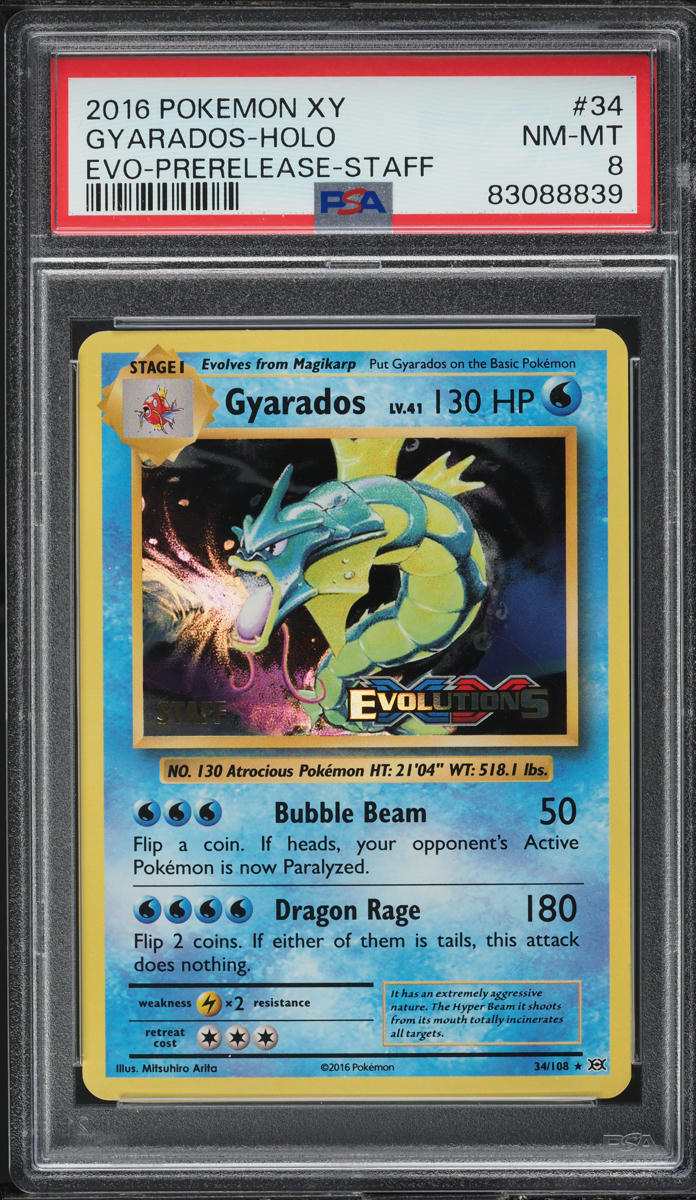 2016 Pokemon Xy Evolutions Prerelease Staff Holo Gyarados #34 Psa 8 Nm 