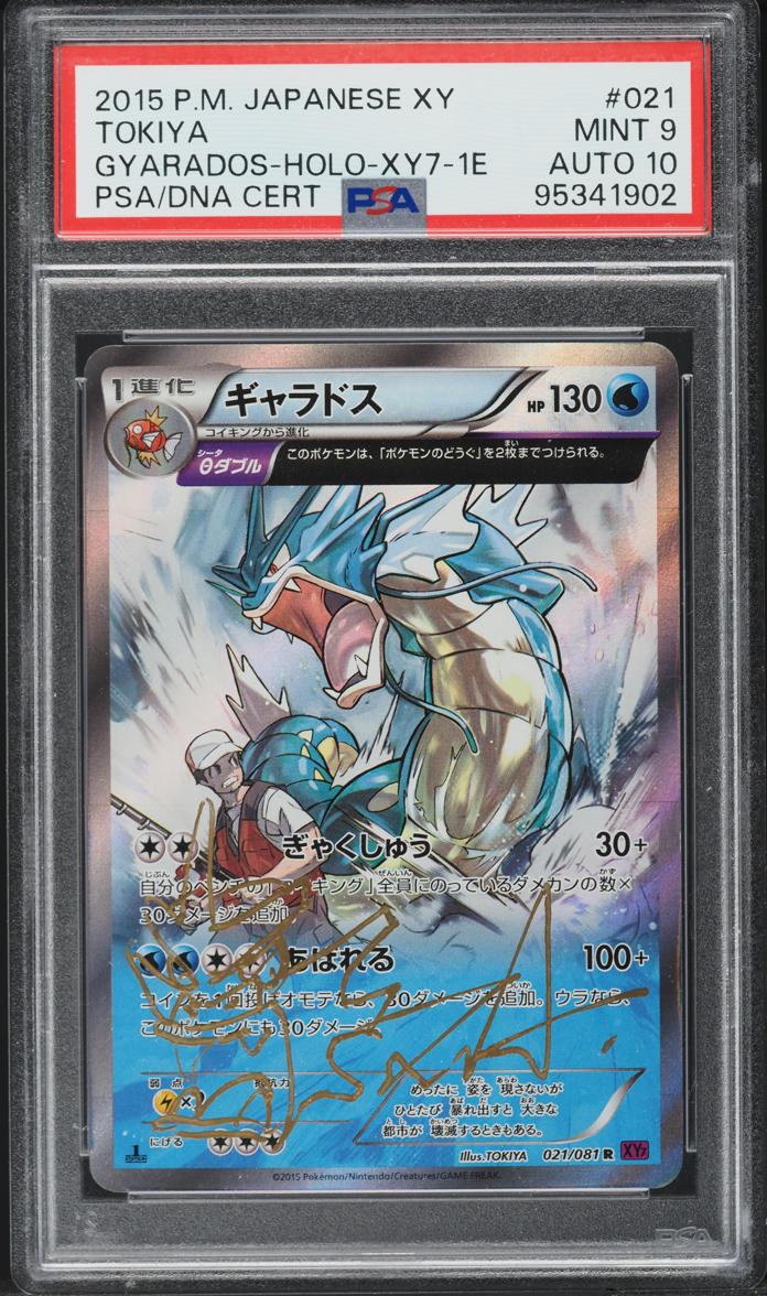 2015 POKEMON JAPANESE XY BANDIT RING 1ST EDITION HOLO GYARADOS #21 TOK lowpopping 2015 POKEMON JAPANESE XY BANDIT RING 1ST EDITION HOLO GYARADOS #21 TOK lowpopping