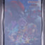 2010 POKEMON ENTEI RAIKOU SUICUNE PENCIL BOARD BGS 9.5