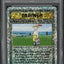 2002 POKEMON LEGENDARY COLLECTION REVERSE HOLO POKEMON BREEDER #102 PSA 10 GEM