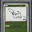 2021 POKEMON JAPANESE SWSH PROMO YU NAGABA X PCG CAMPAIGN PIKACHU #208 PSA 10 GEM MINT