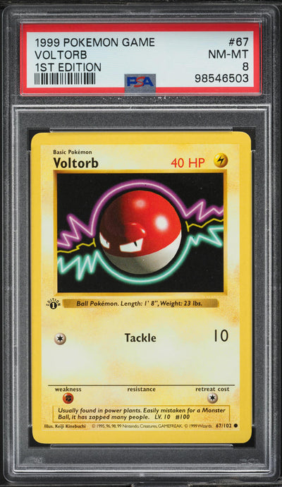 1999 POKEMON BASE SET SHADOWLESS 1ST EDITION VOLTORB #67 PSA 8 NM-MT